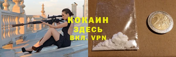 сатива Бородино