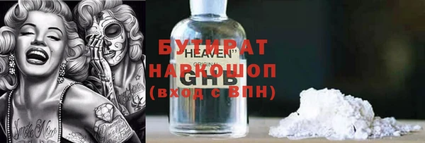 сатива Бородино