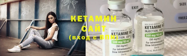 сатива Бородино