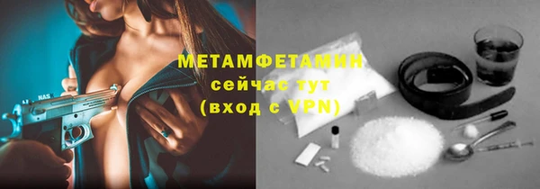 сатива Бородино