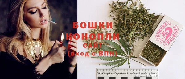 сатива Бородино
